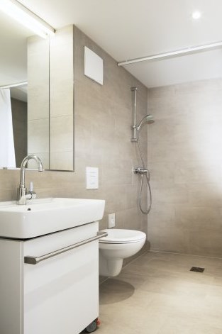 Набор душевой Grohe TEMPESTA NEW II 600мм 27598000 Набор душевой Grohe TEMPESTA NEW II 600мм 27598000