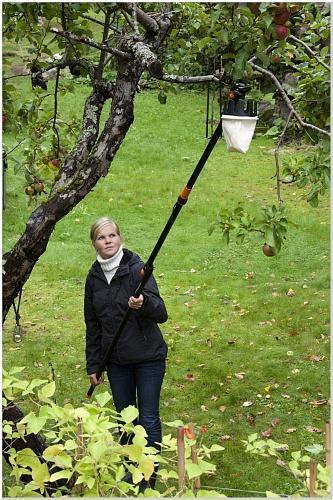 Насадка для фруктов Fiskars 110970 Насадка для фруктов Fiskars 110970